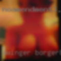 Swinger Borger